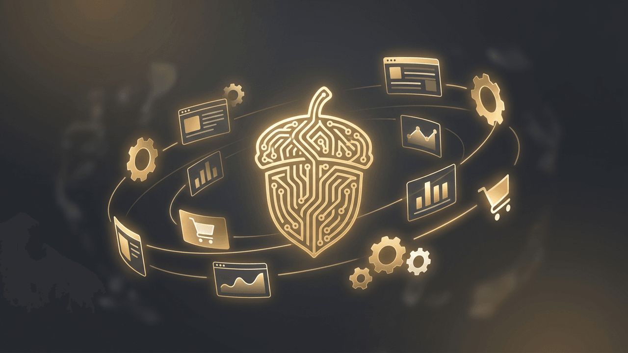 Custom Web Development Services Raleigh