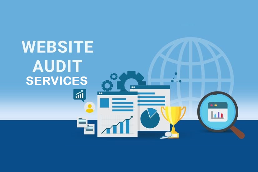 Website Audit Services