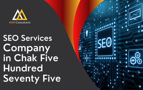 SEO Services Company